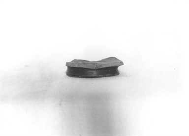 fondo e piede ad anello